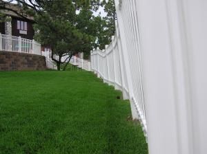 lawn kept green thanks to our San Pablo sprinkler repair services