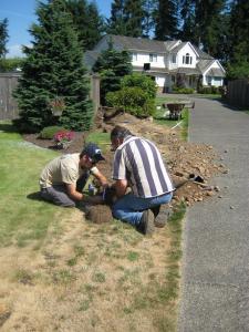 a new irrigation line being installed