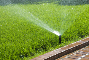 A perfectly adjusted sprinkler head installed by our Richmond Sprinkler Repair team